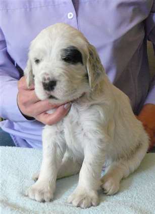 Click for large image