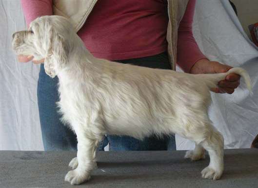 Click for large image