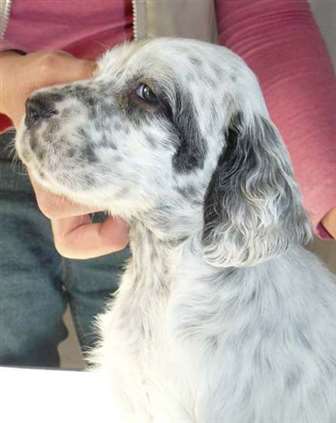 Click for large image