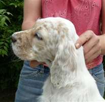 Click for large image