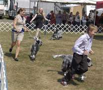 Click for large image