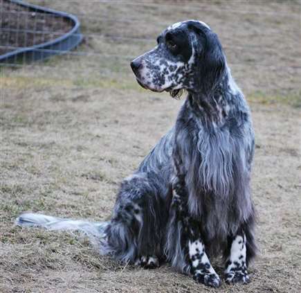 Click for large image