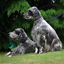 Click for large image