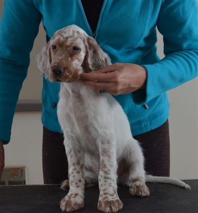 Click for large image