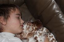 Click for large image