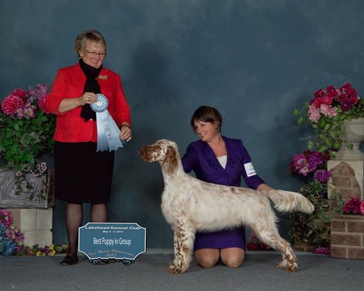 Click for large image