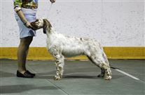 Click for large image