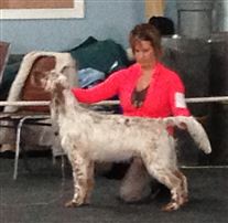 Click for large image