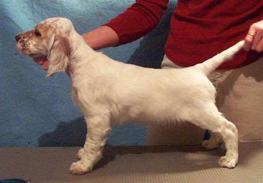 Click for large image