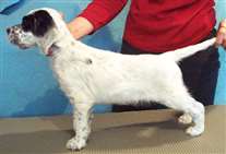 Click for large image