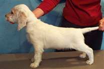 Click for large image