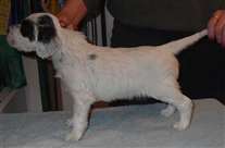 Click for large image