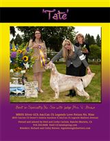 Click for large image