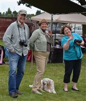 Click for large image