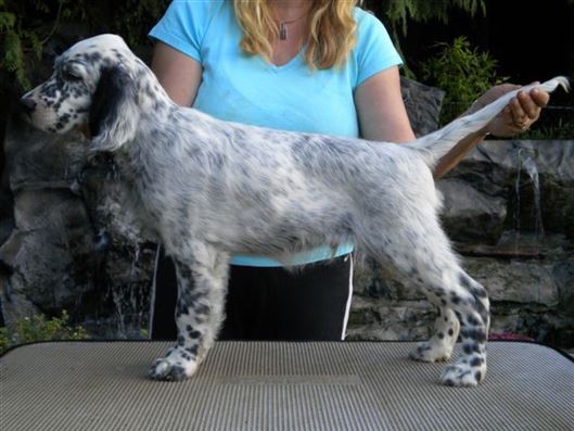 Click for large image