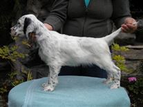 Click for large image