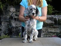 Click for large image