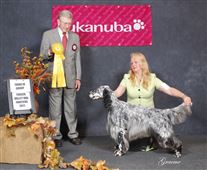 Click for large image