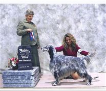 Click for large image