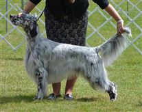 Click for large image