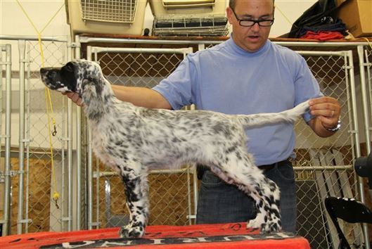 Click for large image