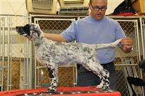 Click for large image