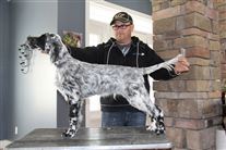 Click for large image