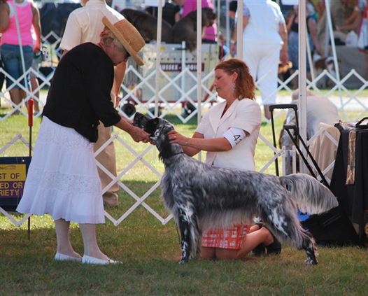 Click for large image