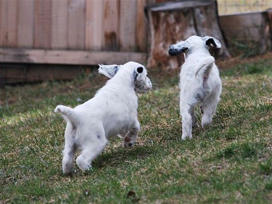 Click for large image