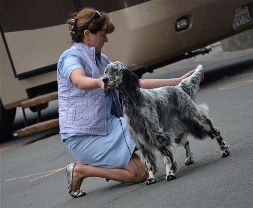 Click for large image