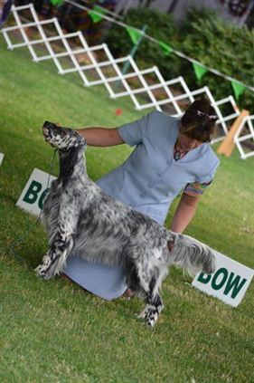 Click for large image