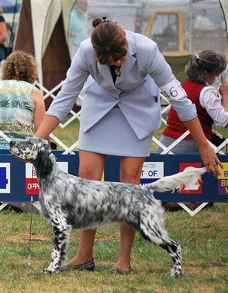 Click for large image