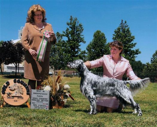 Click for large image