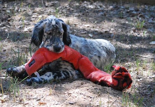 Click for large image