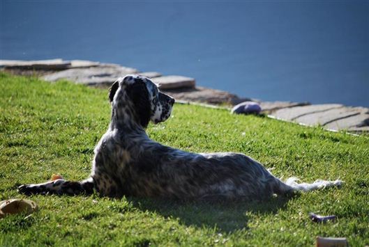 Click for large image