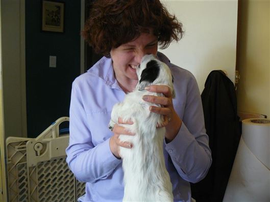 Click for large image