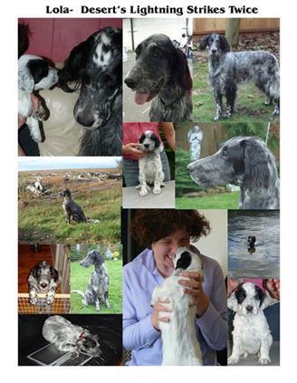 Click for large image