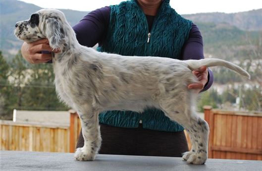 Click for large image