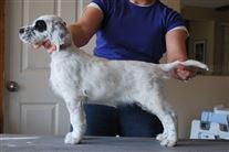 Click for large image