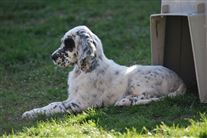 Click for large image