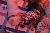 Click for large image