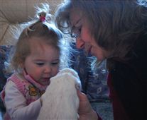 Click for large image