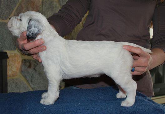 Click for large image