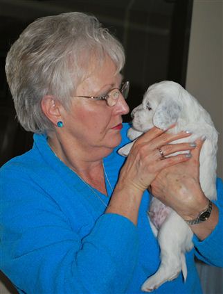 Click for large image