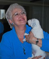 Click for large image