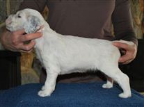 Click for large image