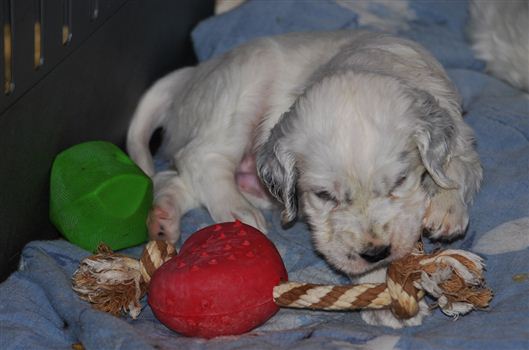 Click for large image