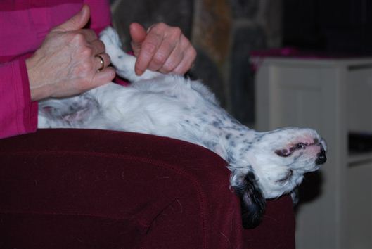 Click for large image