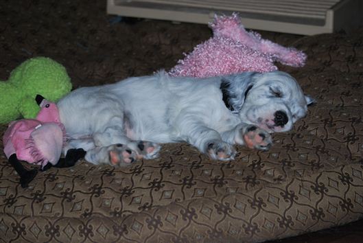 Click for large image