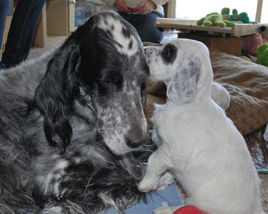 Click for large image